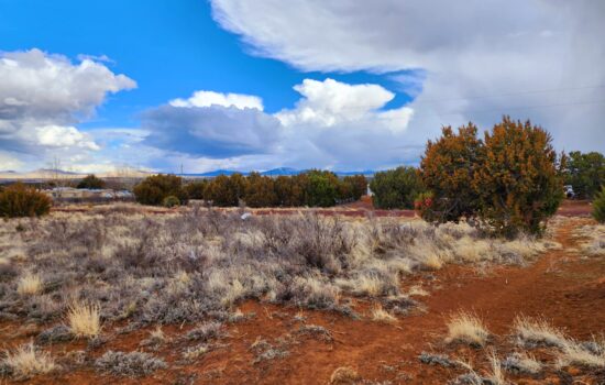 3.12 Acres With City Power in Concho, AZ