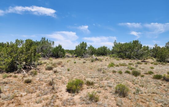 4.5 acres in Apache County