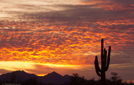 Discover the Perfect Land in Arizona: Your Gateway to Adventure and Affordable Living