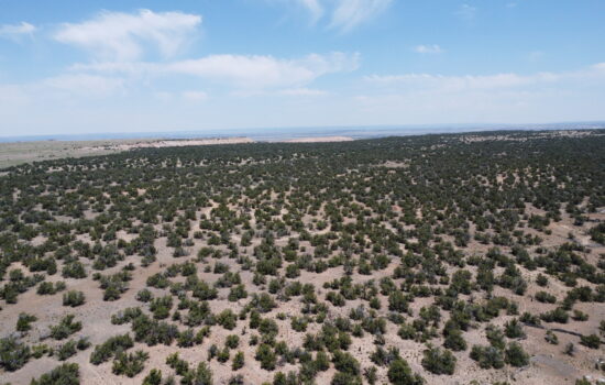 Stunning 20 acres in Apache County Arizona