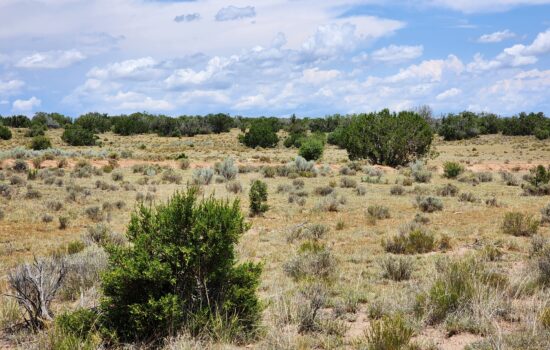 1-Acre in Apache County. Conveniently Located off Ranch Road!