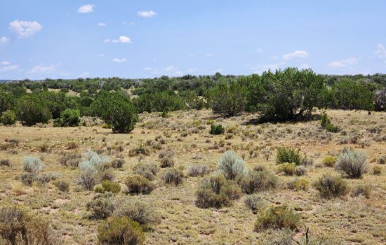 4.5 acres in Apache County