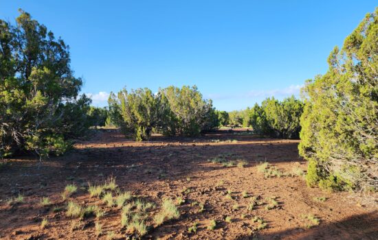 1 Acre Outdoor Paradise in Concho, AZ