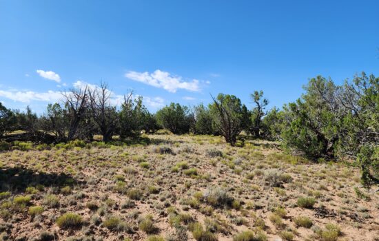 13.98 acres in Chambers, AZ