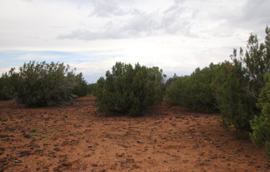 Stunning 1 Acre Lot in Concho, AZ