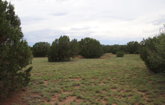 Prime Corner Lot in Concho, AZ with Power.