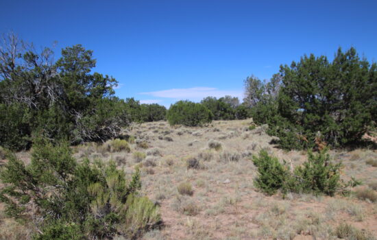 Secluded 1 Acre in Sanders, AZ Bordering Trust Land