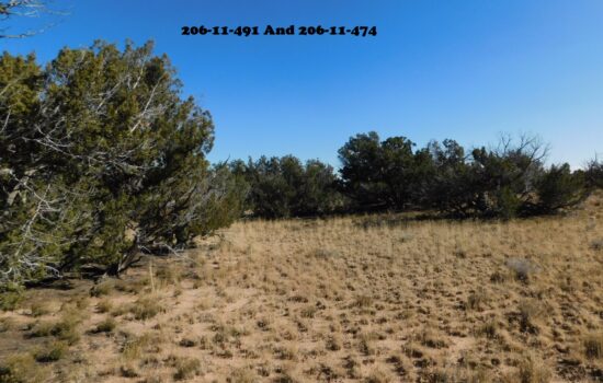 4.65 Acres in Chambers Fronting 1 Mile of Protected Land