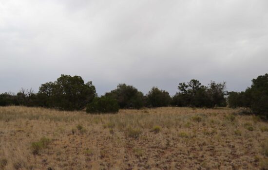 1.05 Acres in Apache Park Estates, Chambers, AZ