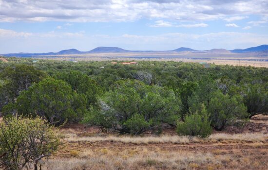 2.54 Acres on Scenic Hillside in Concho, AZ