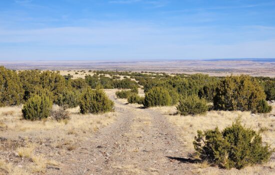 Scenic 1.04 Acre Lot in Concho Valley, AZ