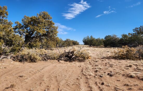 4.66 Acres in Arizona Park Estates