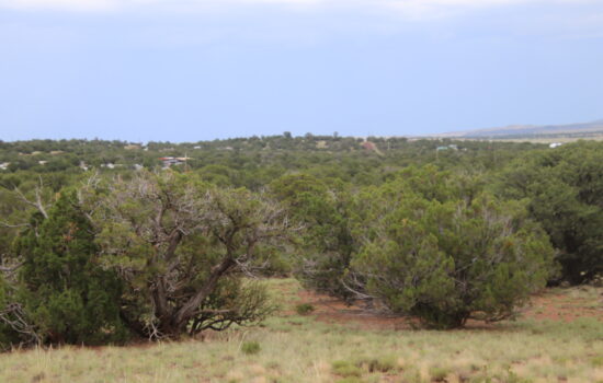 1.27 Acre Lot in Show Low Pines, AZ