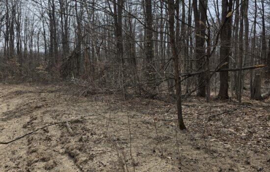 0.57 Acres of Wooded Michigan Land – Perfect for Camping, Cabin, or Recreation! Crawford County