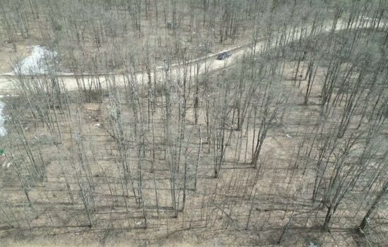 Northern Michigan Getaway – 0.89 Acre Lot Perfect for Off-Grid Living & Outdoor Fun