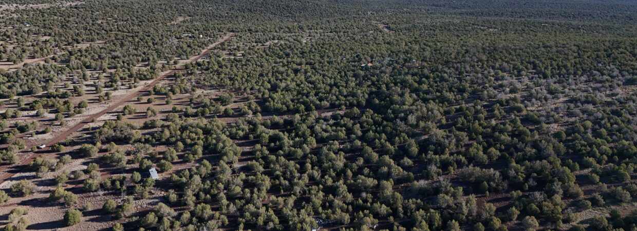 Tree Filled 2.27 Acre Cul De Sac Lot Just Outside Of Historic Willaims AZ –  Easy Access