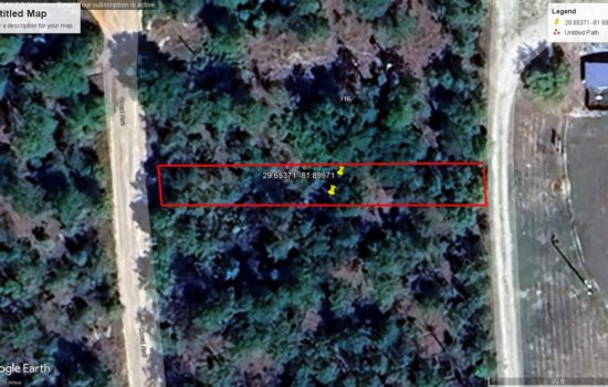 Peaceful 0.11 Acre Lot in Interlachen, FL – Camp-Ready and Surrounded by Nature