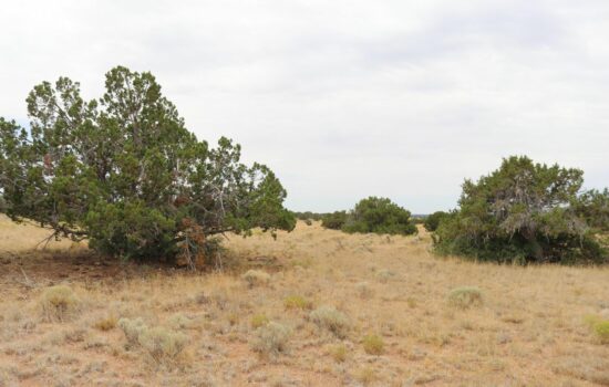 2.48 Acres of Peaceful Desert Land – Apache Park Estates II, AZ