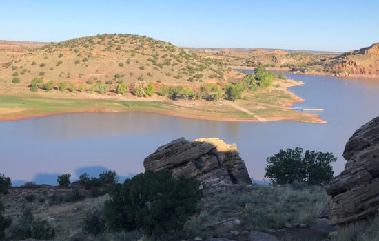 Tree Filled 1.14 Ac Lot Apache County, Arizona