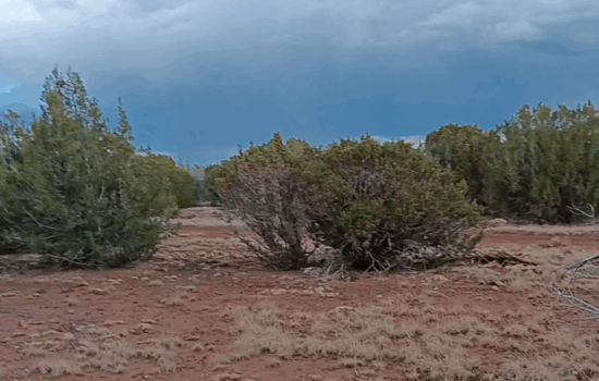 1.16 Acres of Tranquil Arizona Land – Peaceful High-Desert Getaway Near St. Johns