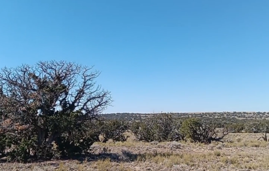 9.32 Acres in Apache, AZ